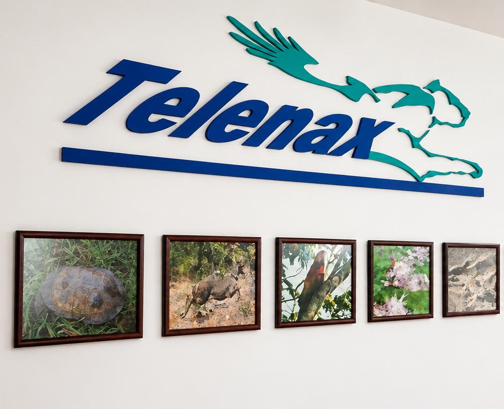 Telenax logo